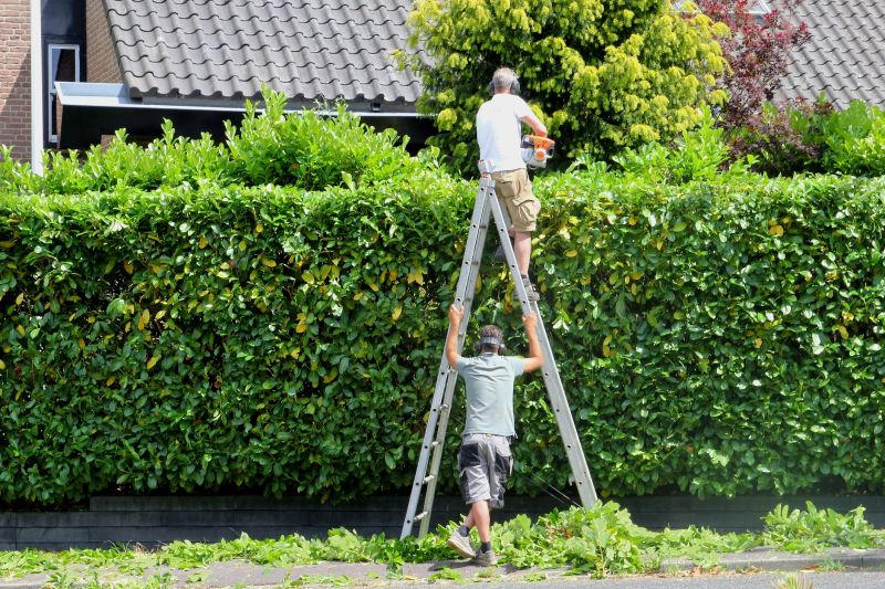 Local Hedge Trimming pros at work