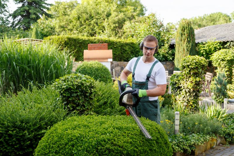 Lush Green Hedge Before Trimming