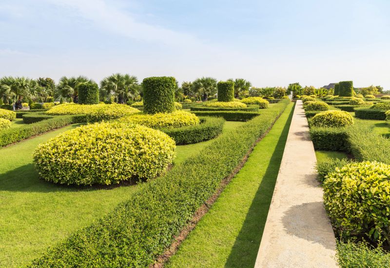 Landscape with Neatly Trimmed Shrubs