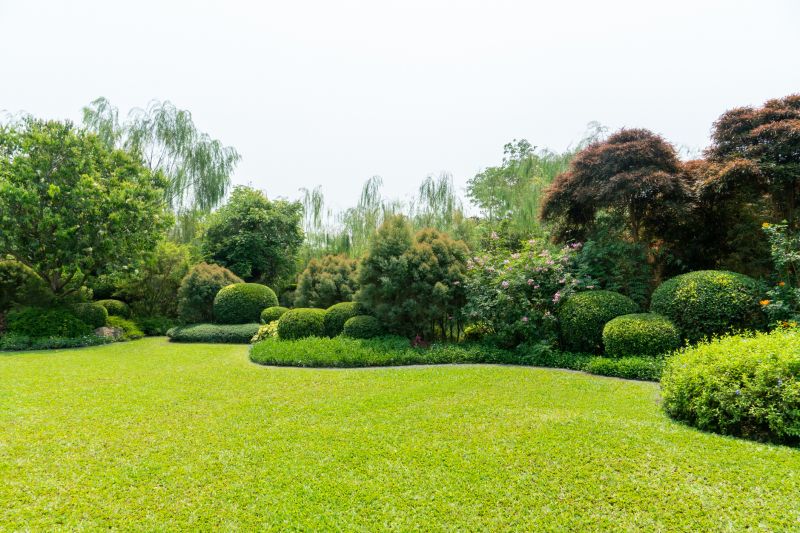 Healthy, Well-Maintained Shrubs
