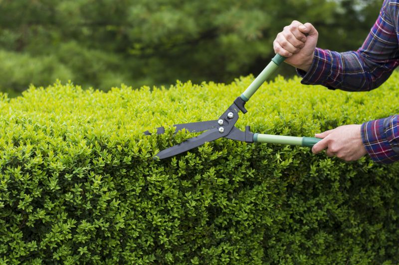 Healthy Hedge Growth